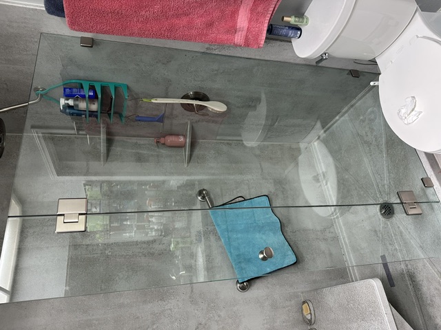 Frameless glass shower door with bench
